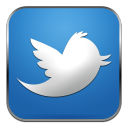 Twitter Follow Button