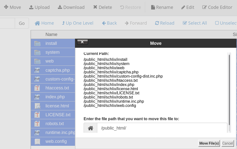 Schlix - Media - Images - Tutorials - V2 - Cpanel - Schlix_v2x_manual_cpanel_install_step_4b_option_move